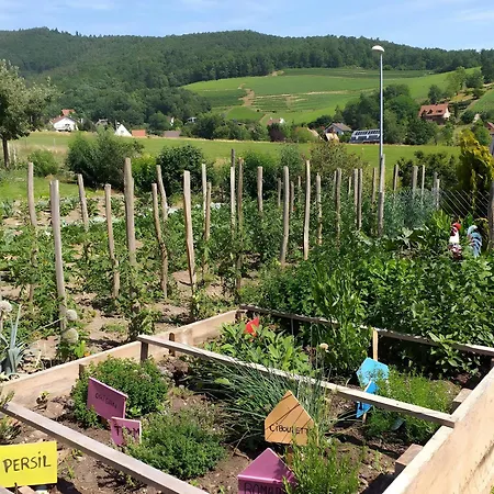 D'hôte La Châtelaine 3* Walbach