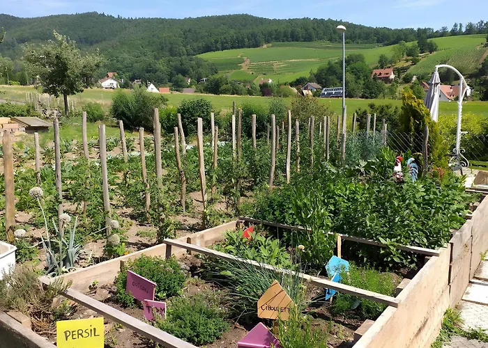 D'hôte La Châtelaine 3* Walbach